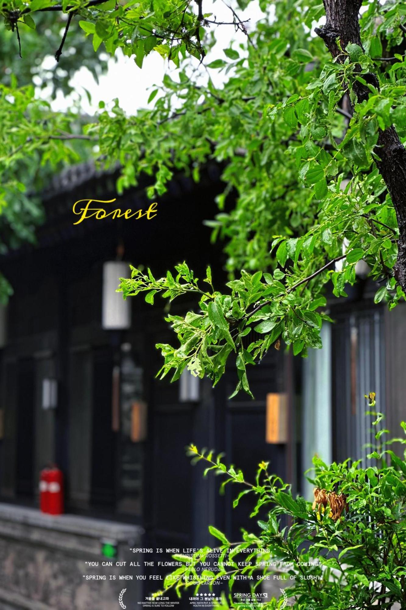 Elsewhere Hotel Inn North Street Branch Pingyao Exterior foto